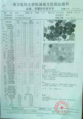 高俊的血液、骨髓檢查報告單